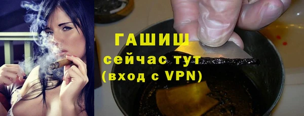 сатива Абаза