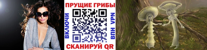 что такое наркотик Терек Галлюциногенные грибы Cubensis